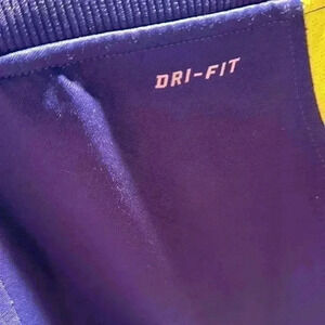 Nike Dri fit sweatpants Purple/lime green